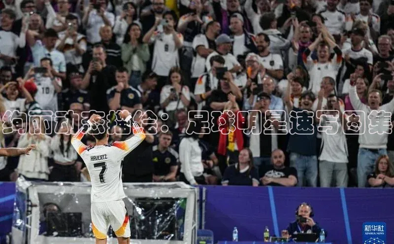 龙8网页版登录官网雷柏科技