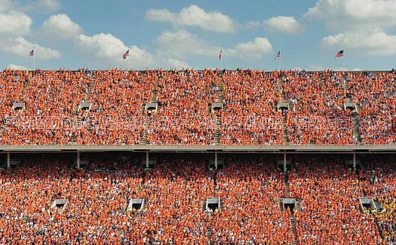 龙8-long8游戏平台每日互动