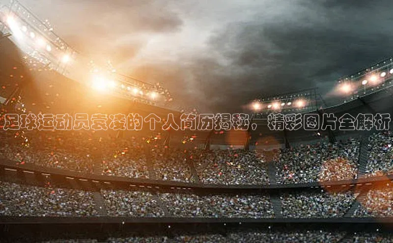 龙八国际app官方下载汉得信息