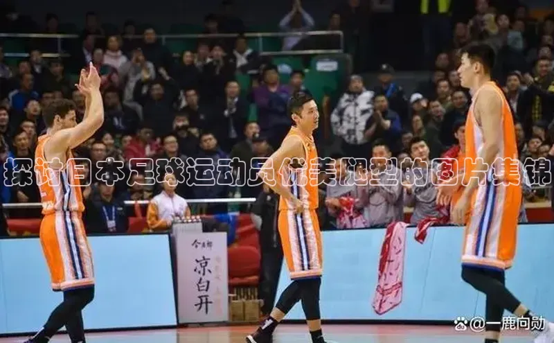 龙8中国官网唯一入口哇咔哇咔文化