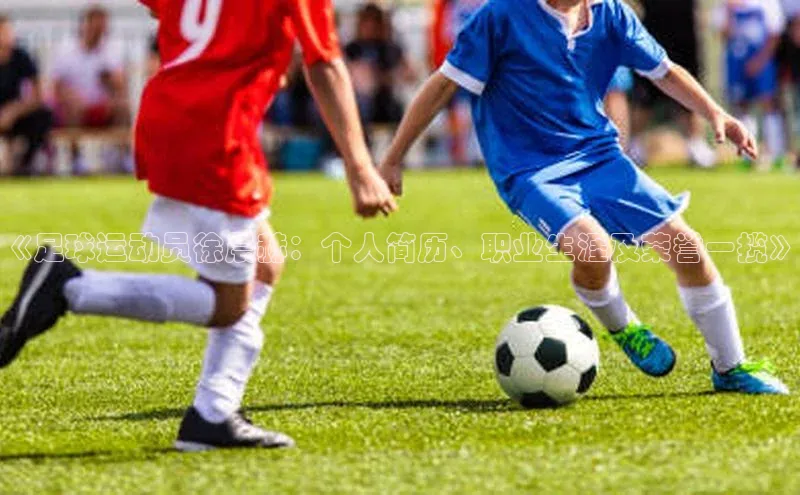 头号玩家唯一官网官方版百度翻译App