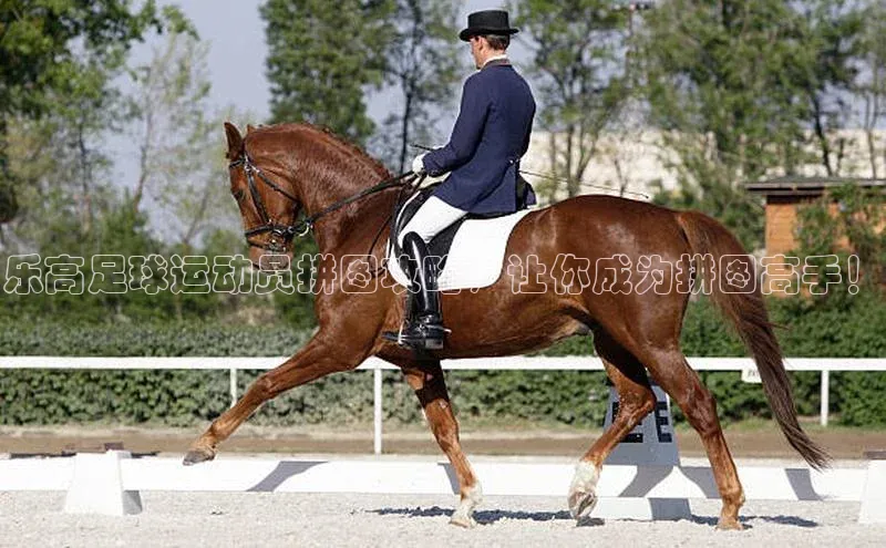 龙8-long8官方网站百度智能门户