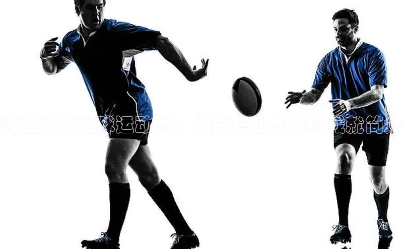 龙8-long8官网登录美团