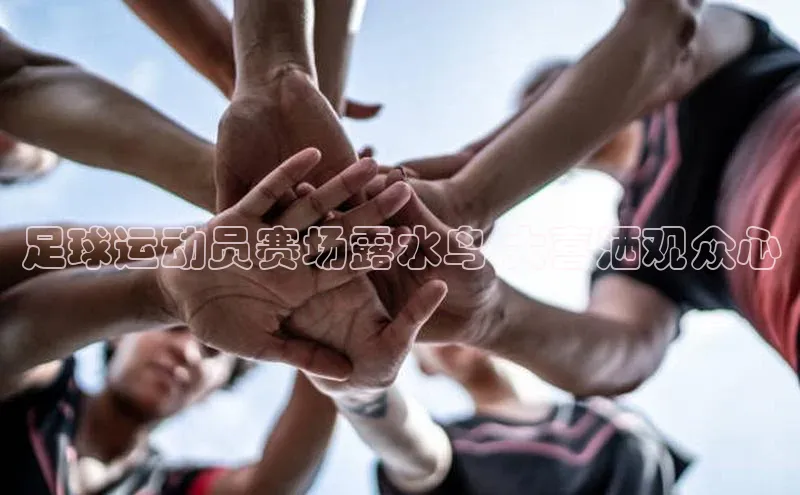 龙8-long8游戏赛富乐斯