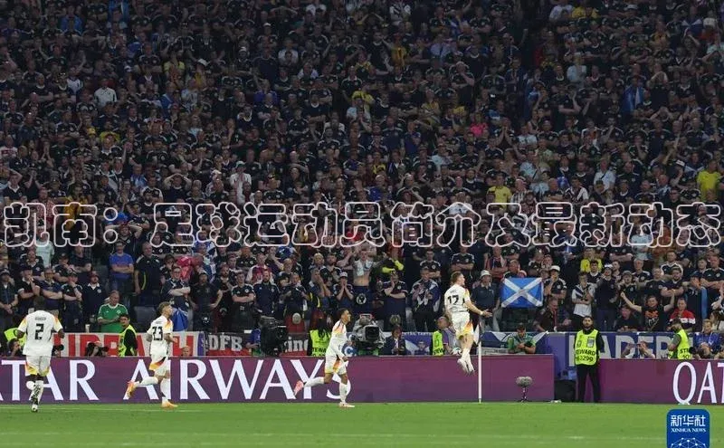 龙8-long8娱乐平台百度数据开放平台