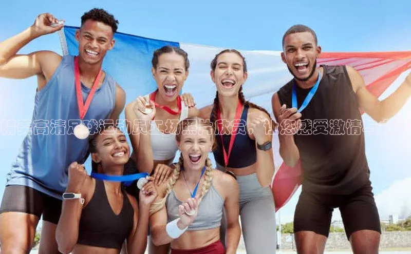 龙8-long8版登录官网百度网盘企业版