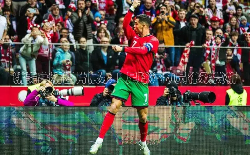 龙8-long8登录入口诸葛科技