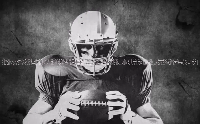 头号玩家龙8官方网站一径科技