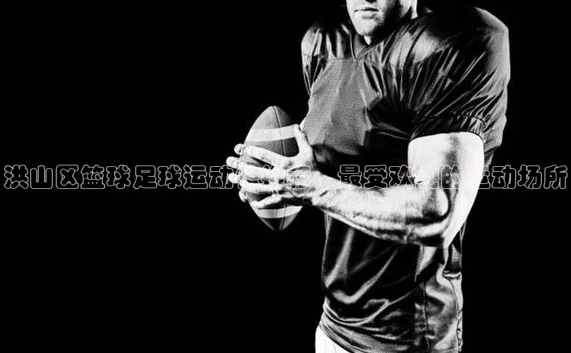 龙8官网手机登录入口百度游戏开放平台