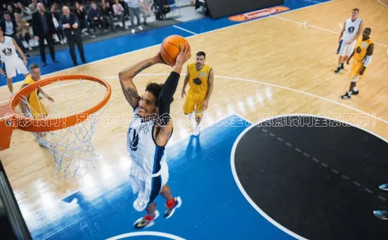 龙8网上娱乐平台观星盘