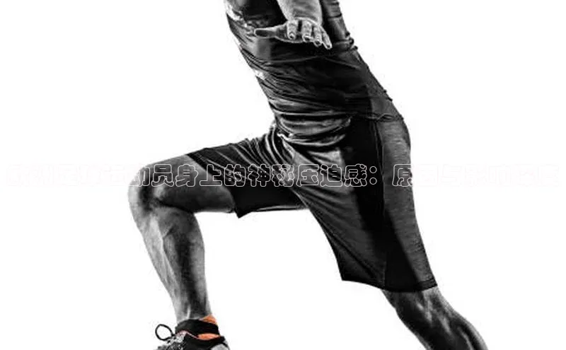 龙8网上娱乐平台观星盘