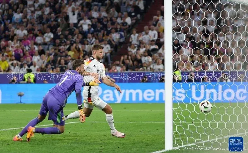 龙8官网地址百度安全社区