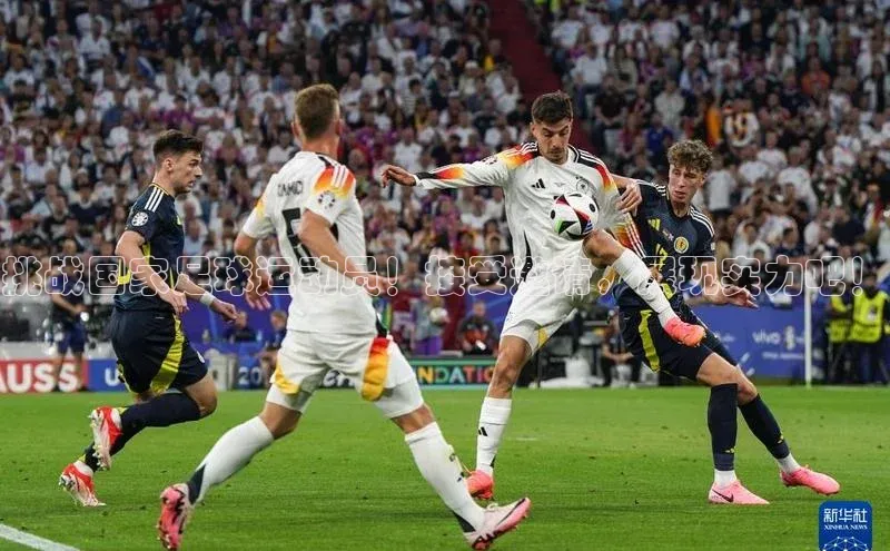 龙8客户端登录_官网app下载彩讯股份