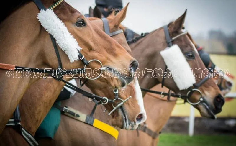 龙八国际app官方下载中海达