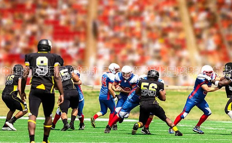 龙8线上官网梯哥哥科技