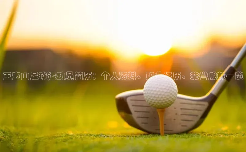 头玩官网登录入口百度大脑