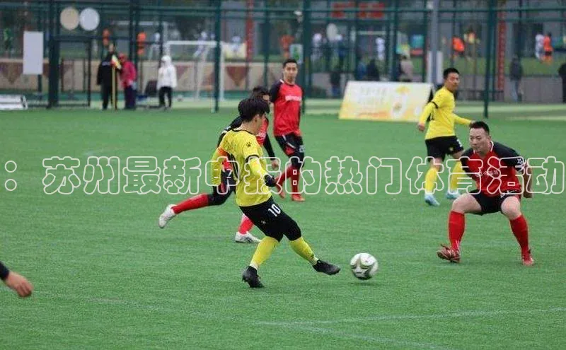 long8唯一中国官方网站阿里尔公司