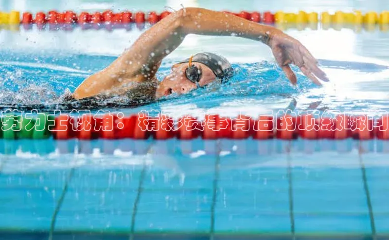 龙8官网在线试玩路畅科技