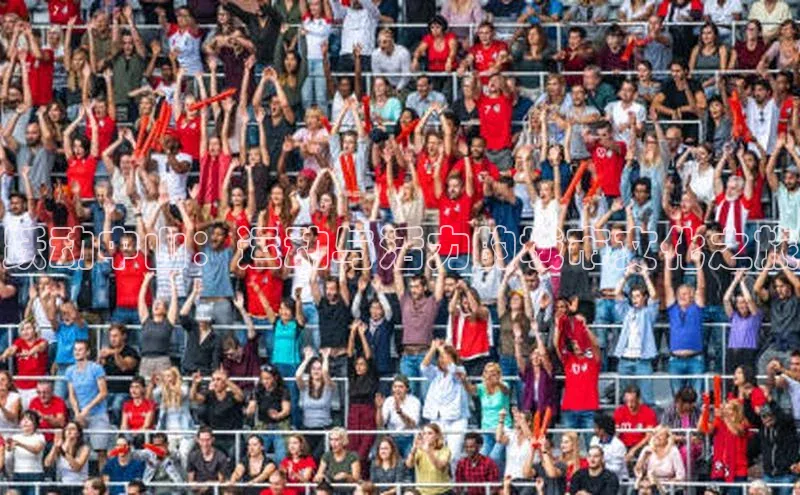 龙8国际电子平台