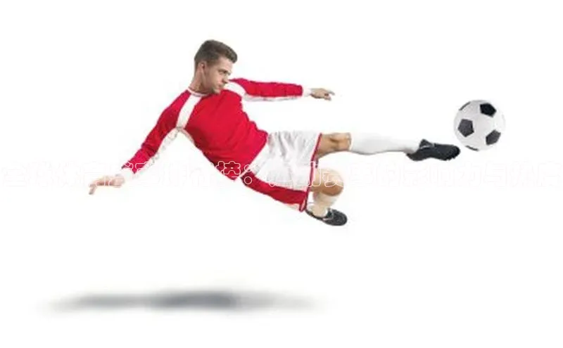 龙八国际下载链接