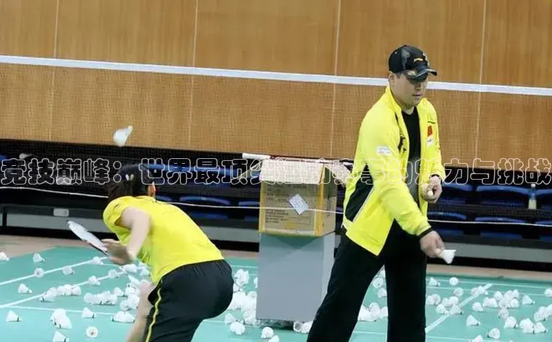 龙8网上娱乐平台