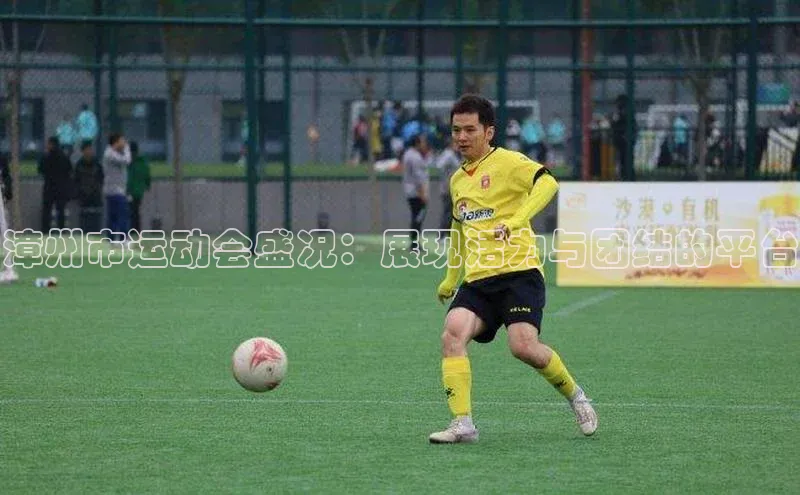 龙8网页版登录官网