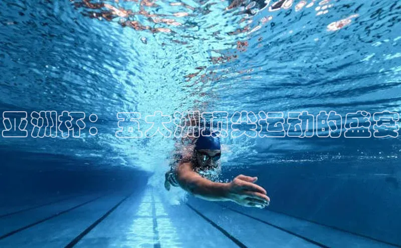 龙8官网 long8 bet