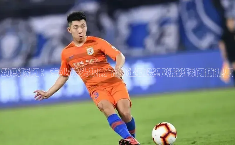 龙八国际app官网