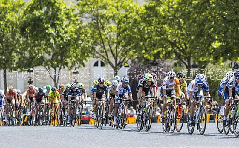 龙8客户端登录_官网app下载