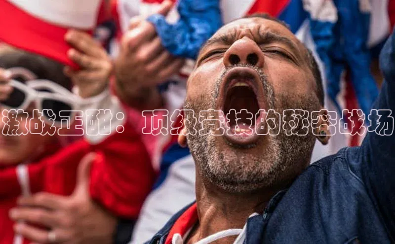 龙八国际app官方下载