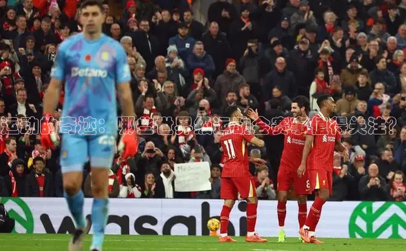 龙8网页版登录官网