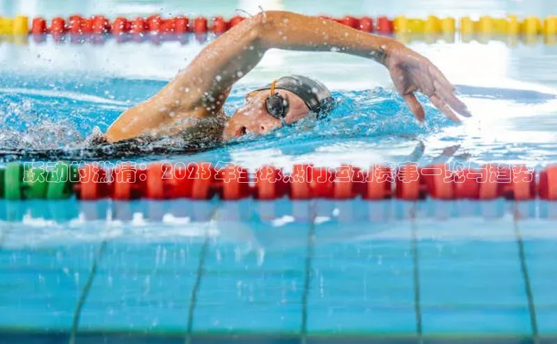 龙8网页版登录官网