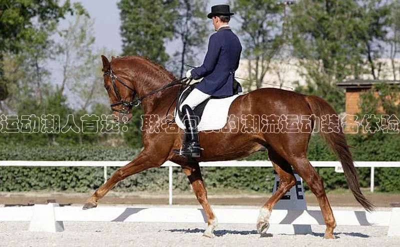 头号玩家官网登录